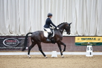 SBM_001484
