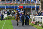 210826-Race 6-Benjamin Hornigold-7246