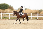 SBM_000055