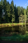 Soudly Lake