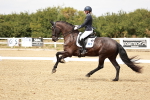 SBM_003798