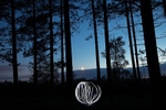 Wareham Forest & Setting Moon