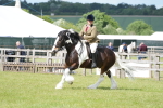 SBM_17293