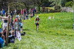 The Finish-31