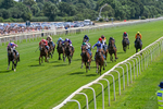 Race 2 14.39pm John Smith's Racing Handicap portfolio