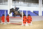 Class 12 - Pony Foxhunter - 1.10m portfolio