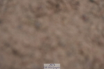 230902A-132614-01392