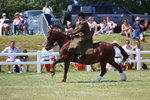 3E7A9738
