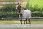 CLASS 12 Senior Discovery/ 1m Open portfolio