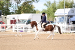 SBM_10065
