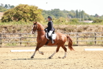 SBM_001663