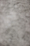 SBM_002078