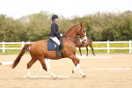 SBM_007448