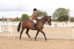 SBM_02811