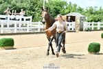 230719A-121902-00145_Trot Up 12pm to 1pm