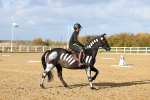 SBM_002156