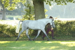 SBM_57928