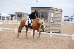 SBM_05767