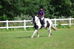 3E7A2332