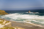 SAND FLY BEACH, DUNEDIN