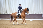 SBM_008934