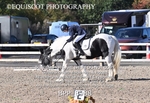 BPP_8988