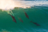 Surfing Dolphin style