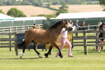 SBM_02068