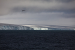 Kvitøya 8395