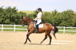SBM_001981