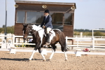 SBM_01918