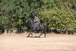 WJ6_6780