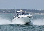 090823 BLUE PEARL IMG_1432