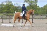 BPP_6788