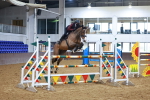 Class 6 - National 1.30m portfolio
