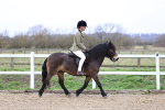 SBM_006741