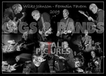 The Wilko Johnson Band-1
