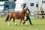 SBM_00540