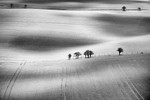 Ivinghoe Beacon