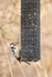 20130328-_MG_2424