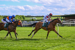 110526-Race 6-Betties Bay-1255
