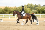 SBM_015668