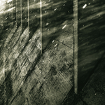Dialogue with Broken Purity