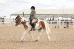 SBM_14761