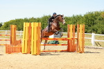 SBM_006992