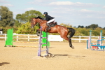 SBM_007768