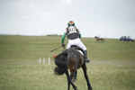 BVHT 140517  NXC -466