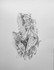 11. Wilted Seaweed, Graphite on Paper, 60cm x 45cm
