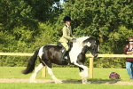 SBM_67456