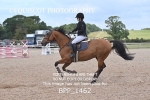 BPP_1462